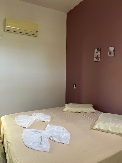 vIMG_8774